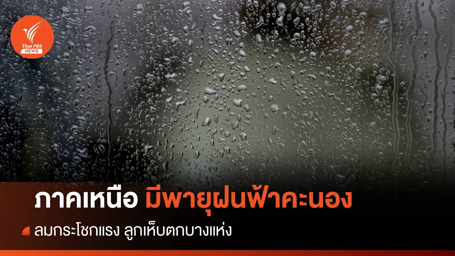 พายุฝนฟ้าคะนอง